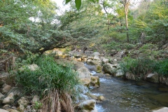 Arroyo Bruno