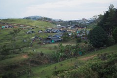 Minga