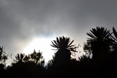Parque Nacional Natural Sumapaz