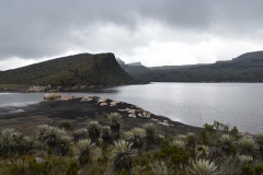 Parque Nacional Natural Sumapaz