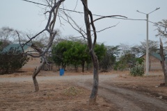 Tamaquito 2 Wayuu